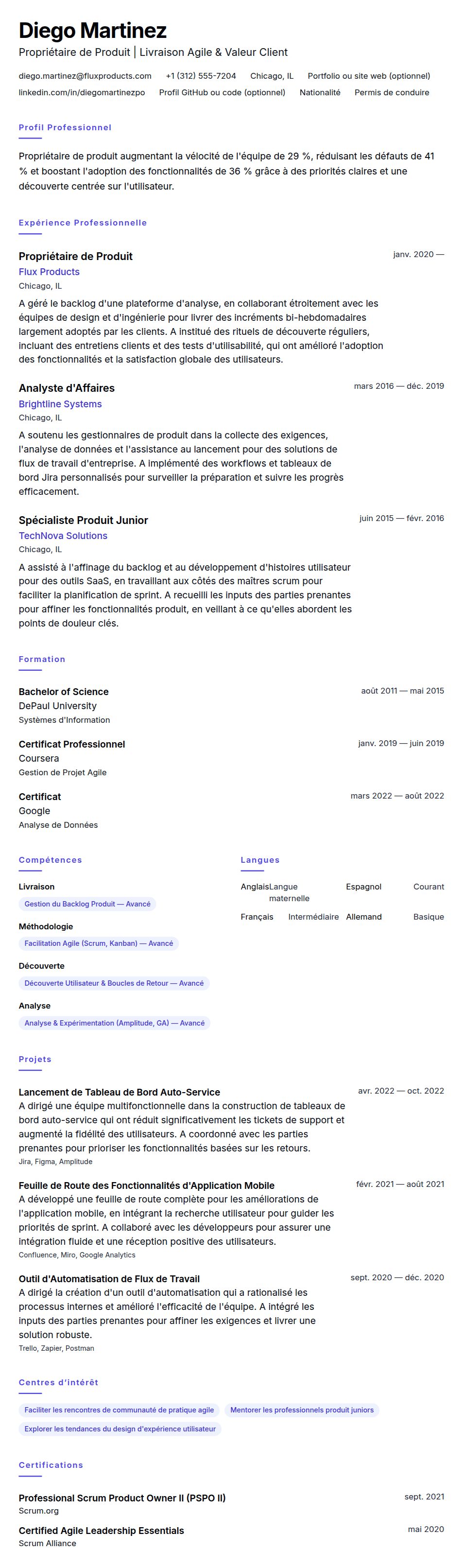 Aperçu du CV Exemple de CV de Propriétaire de Produit