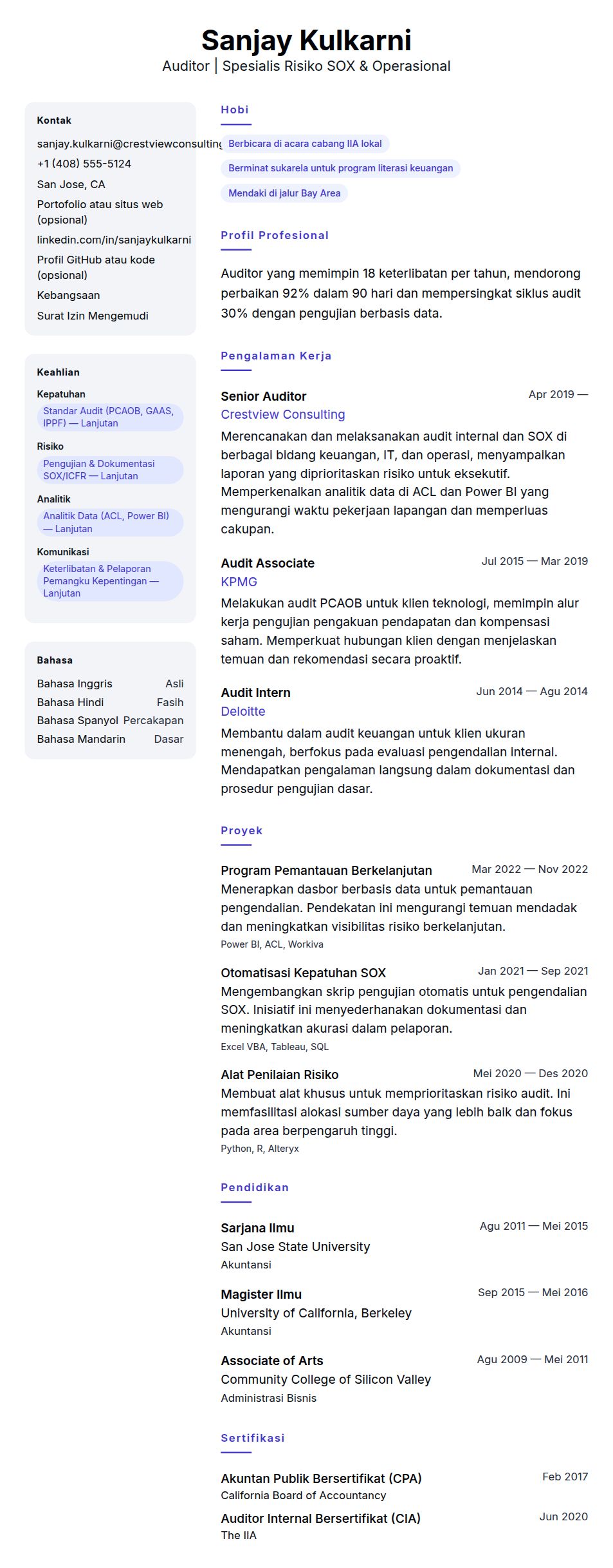 Pratinjau resume Contoh Resume Auditor