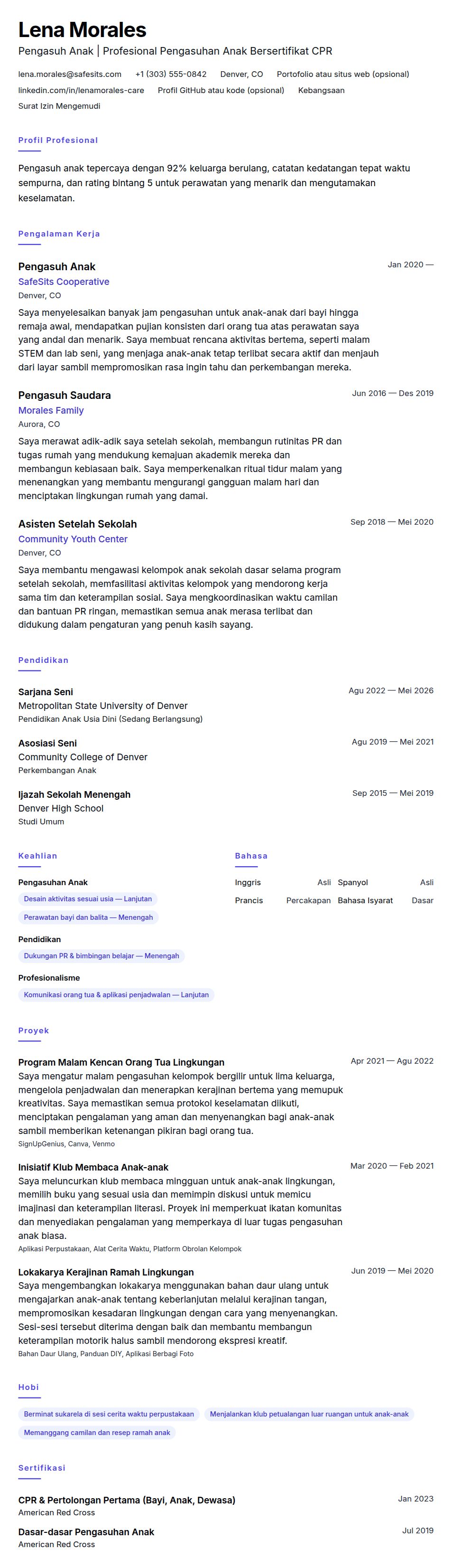 Pratinjau resume Contoh Resume Pengasuh Anak