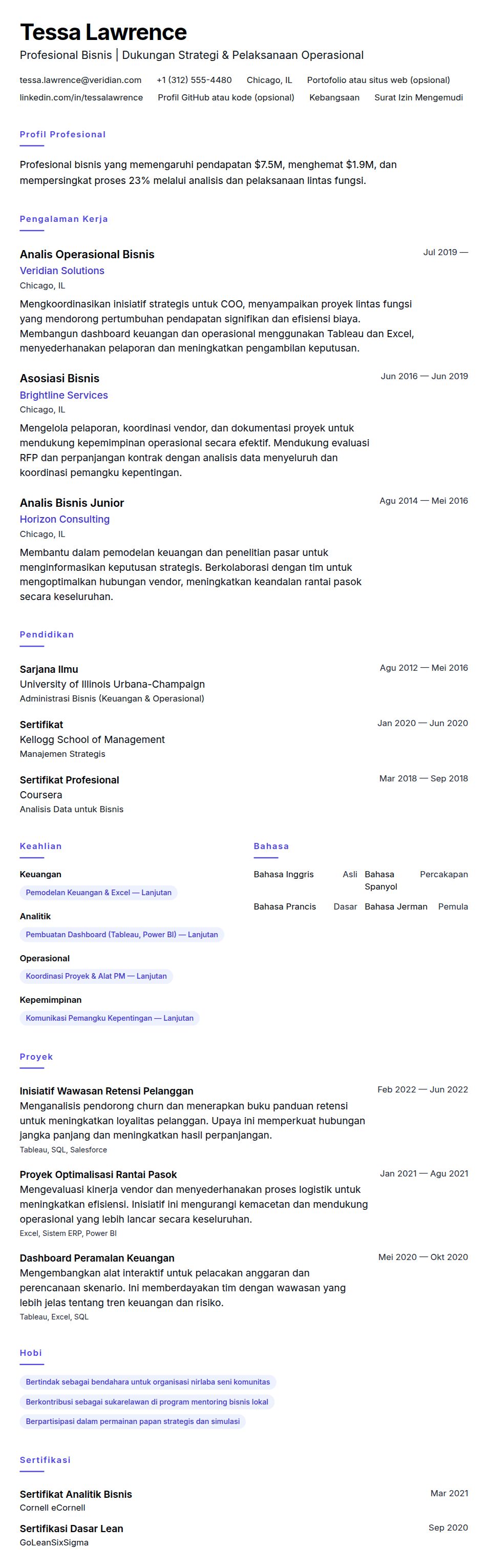 Pratinjau resume Contoh Resume Profesional Bisnis