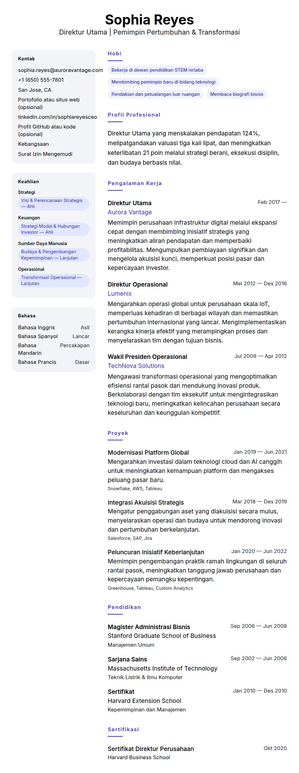 Pratinjau resume Contoh Resume Direktur Utama