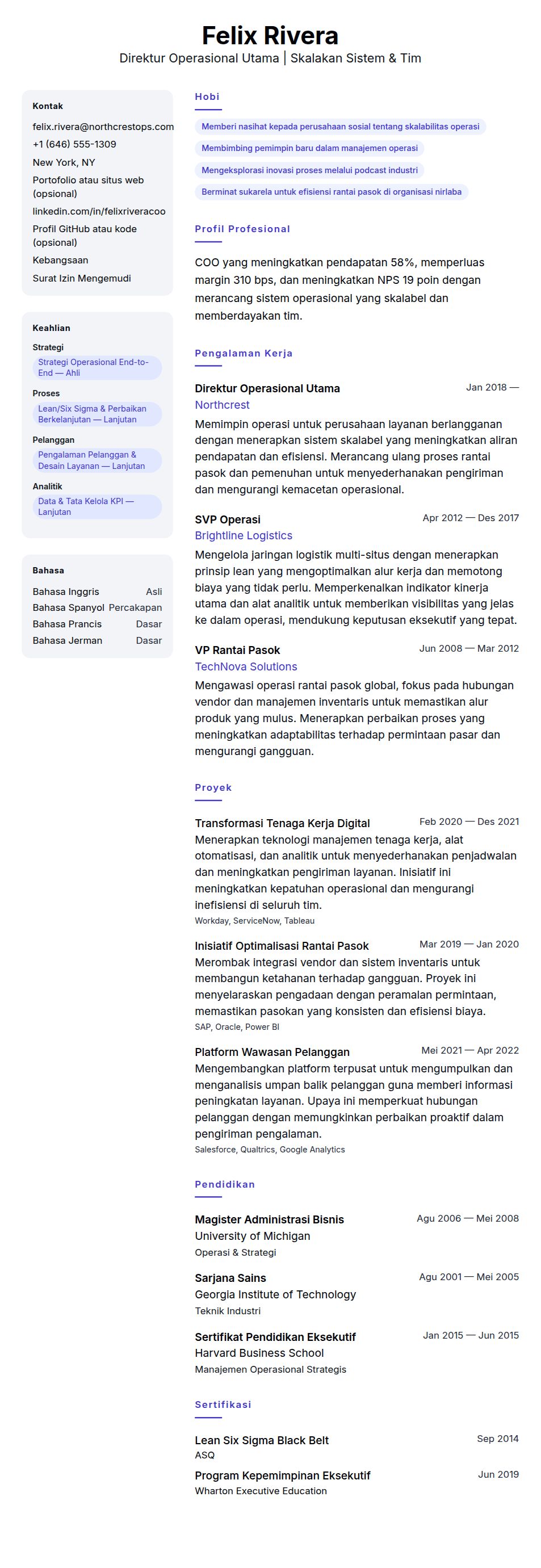 Pratinjau resume Contoh Resume Direktur Operasional Utama