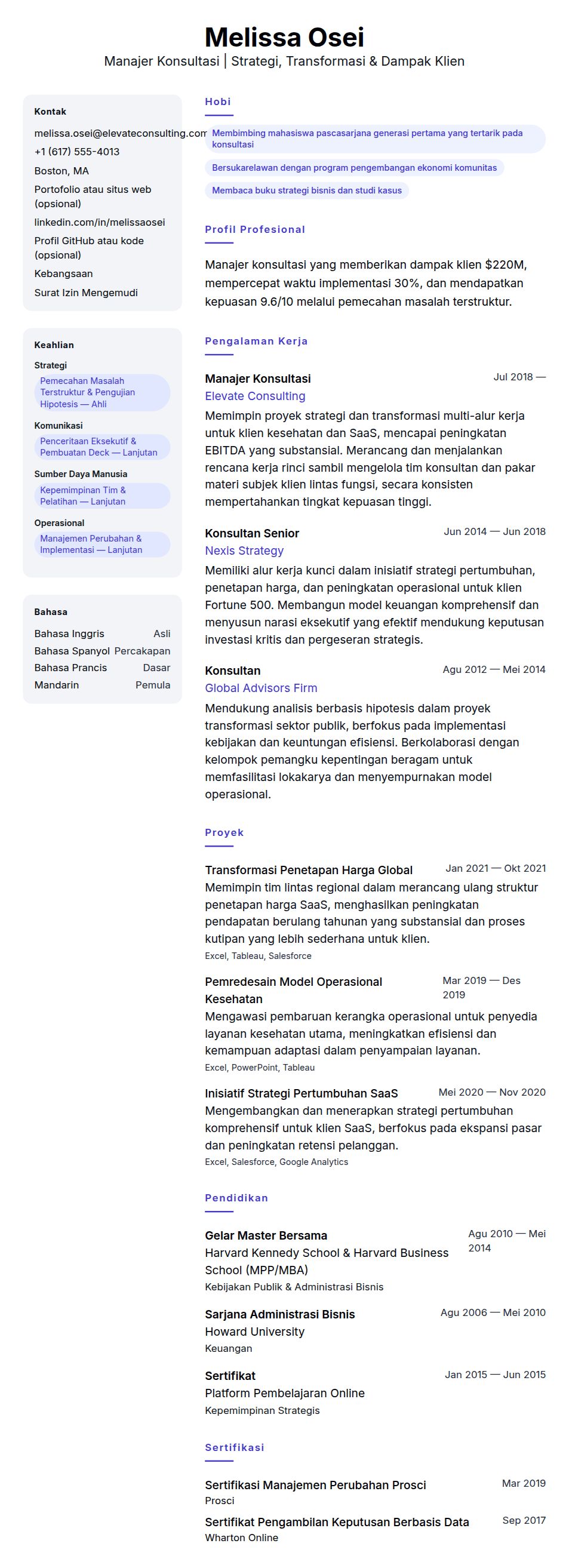 Contoh Resume Manajer Konsultasi