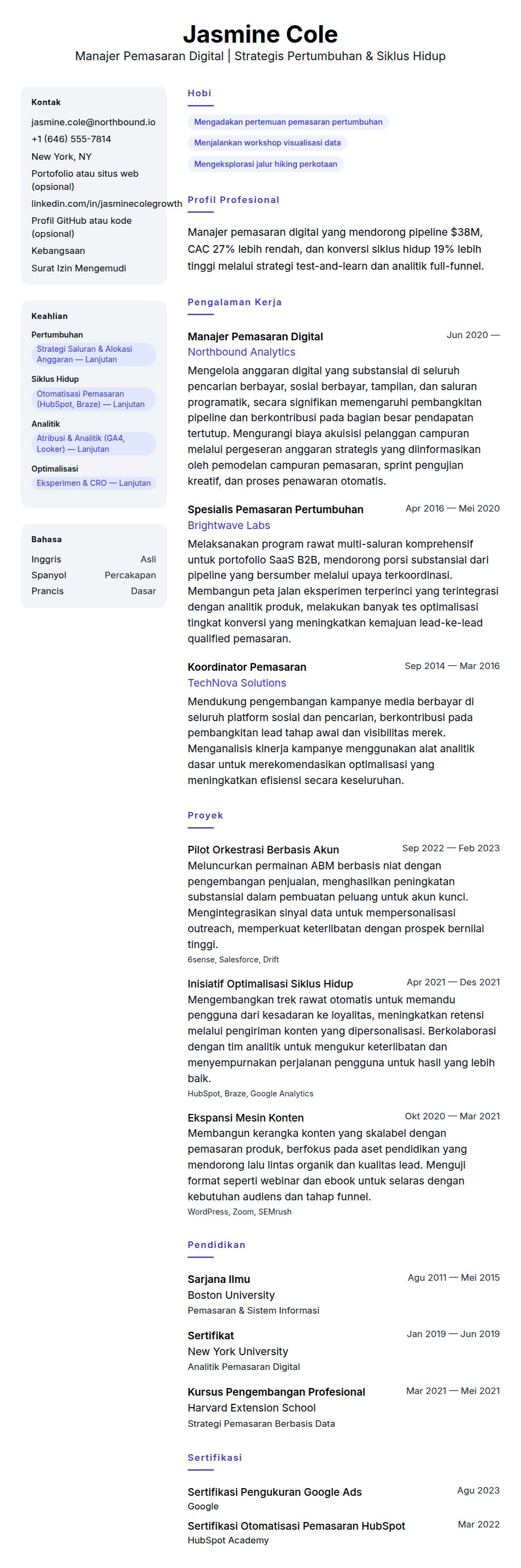 Pratinjau resume Contoh Resume Manajer Pemasaran Digital