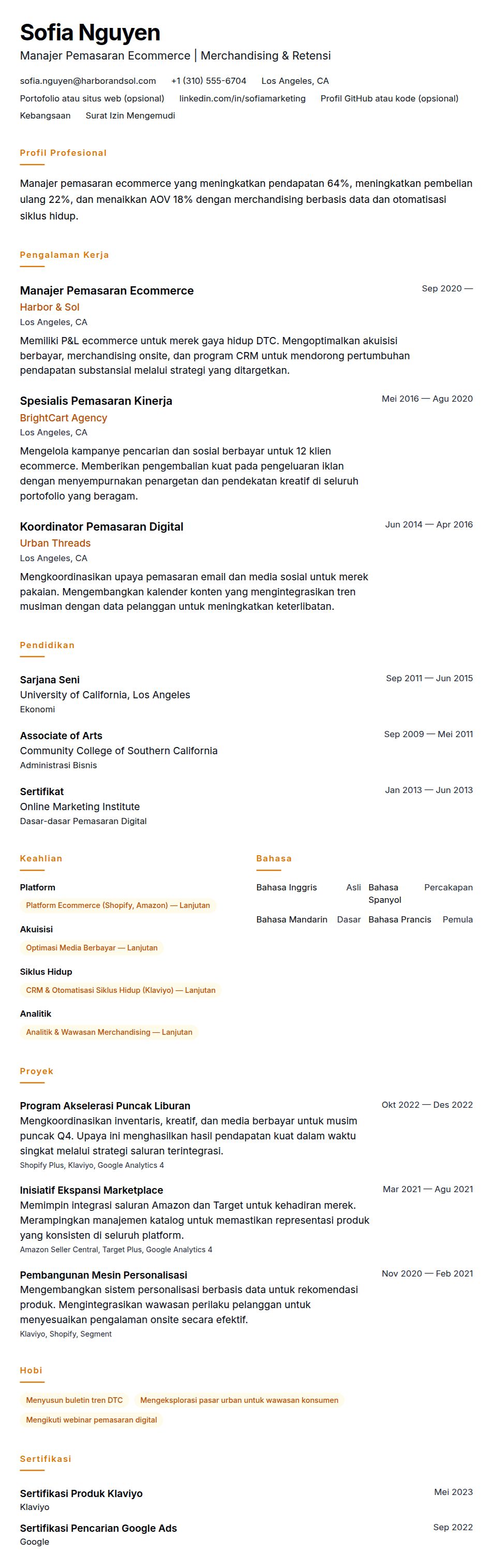 Pratinjau resume Contoh Resume Manajer Pemasaran Ecommerce