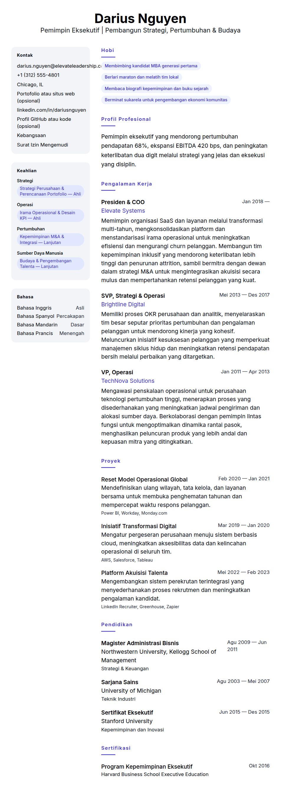 Pratinjau resume Contoh Resume Pemimpin Eksekutif