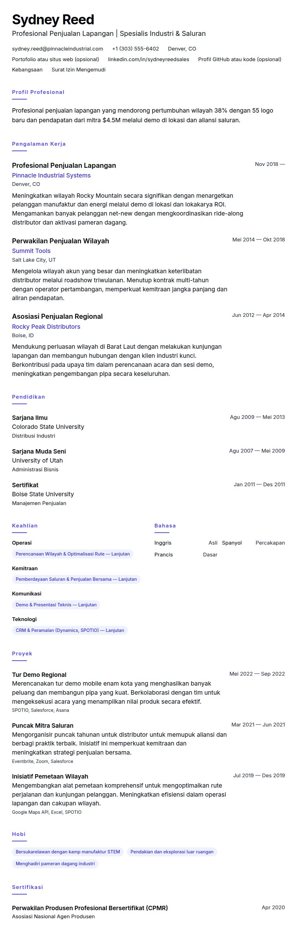 Contoh Resume Profesional Penjualan Lapangan