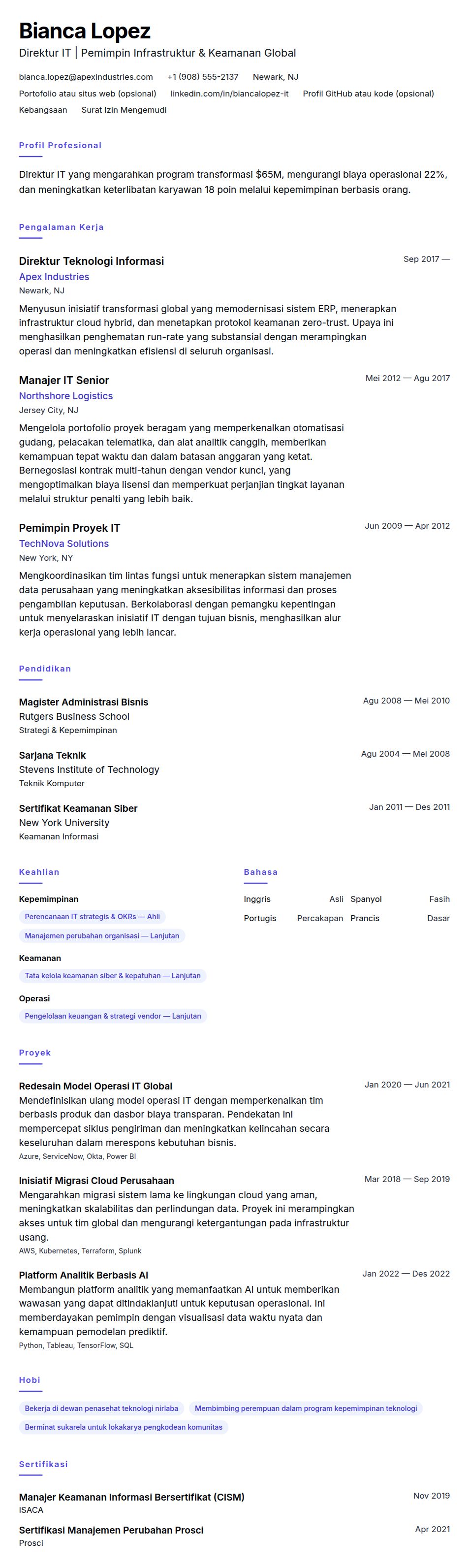 Pratinjau resume Contoh Resume Direktur IT