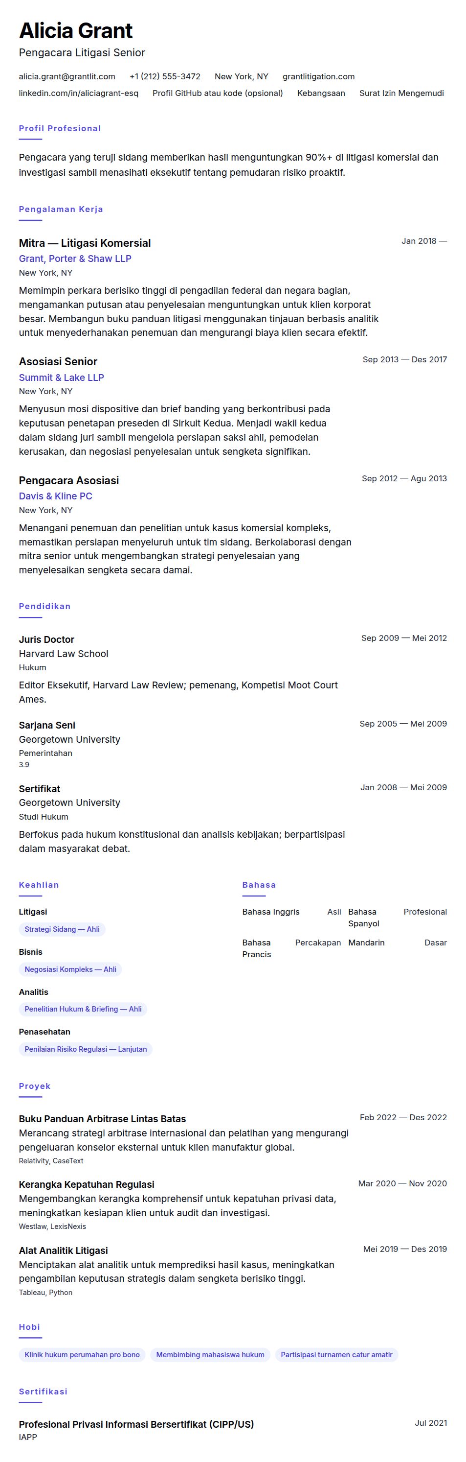 Pratinjau resume Contoh Resume Pengacara