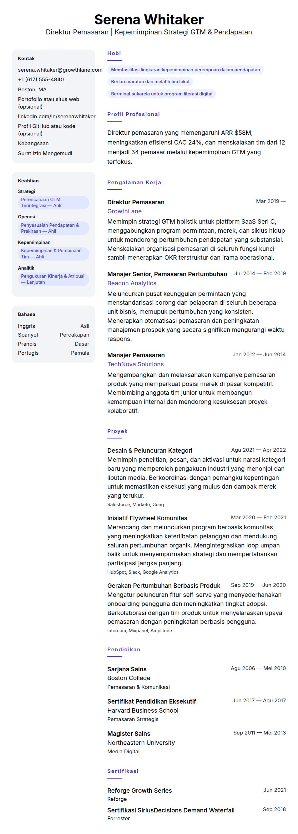 Contoh Resume Direktur Pemasaran