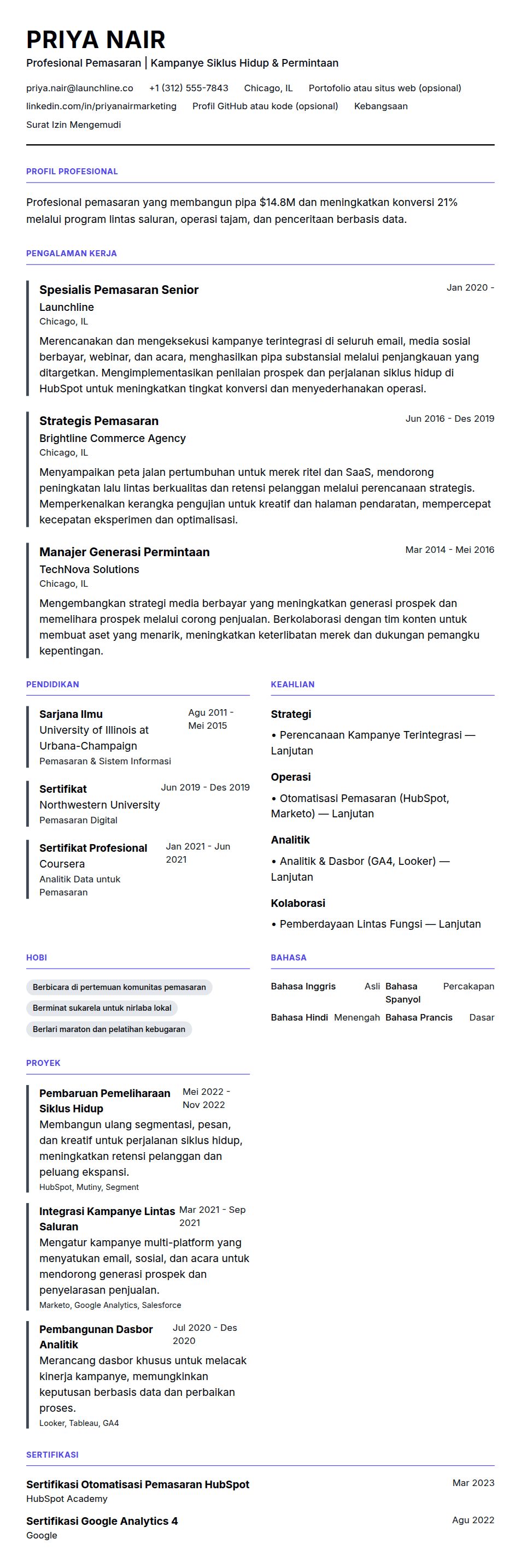 Pratinjau resume Contoh Resume Profesional Pemasaran