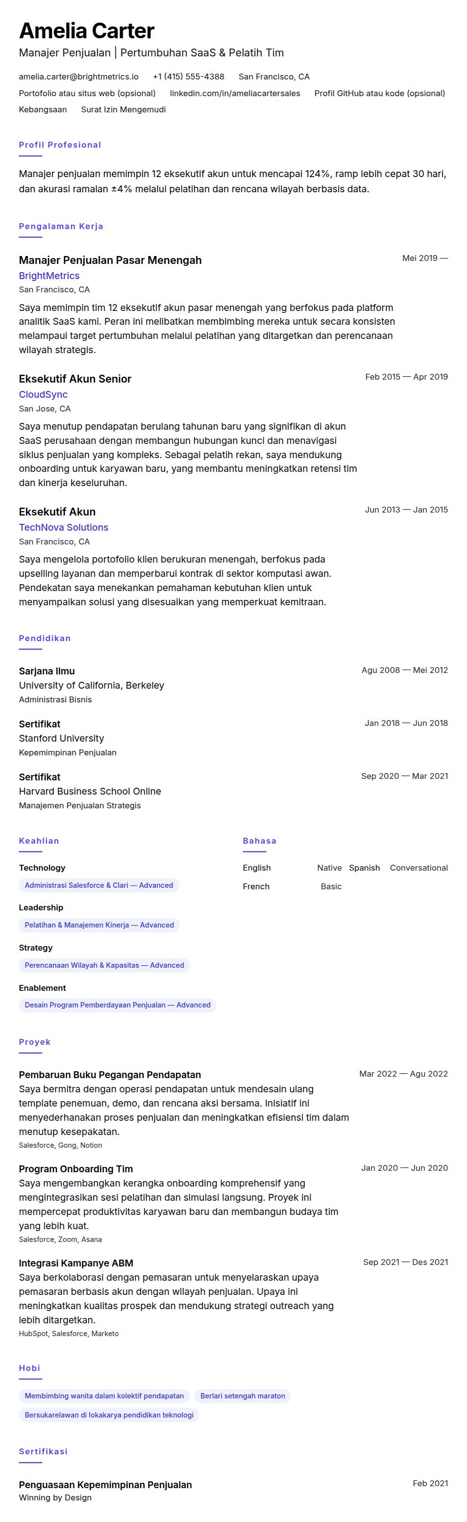 Pratinjau resume Contoh Resume Manajer Penjualan