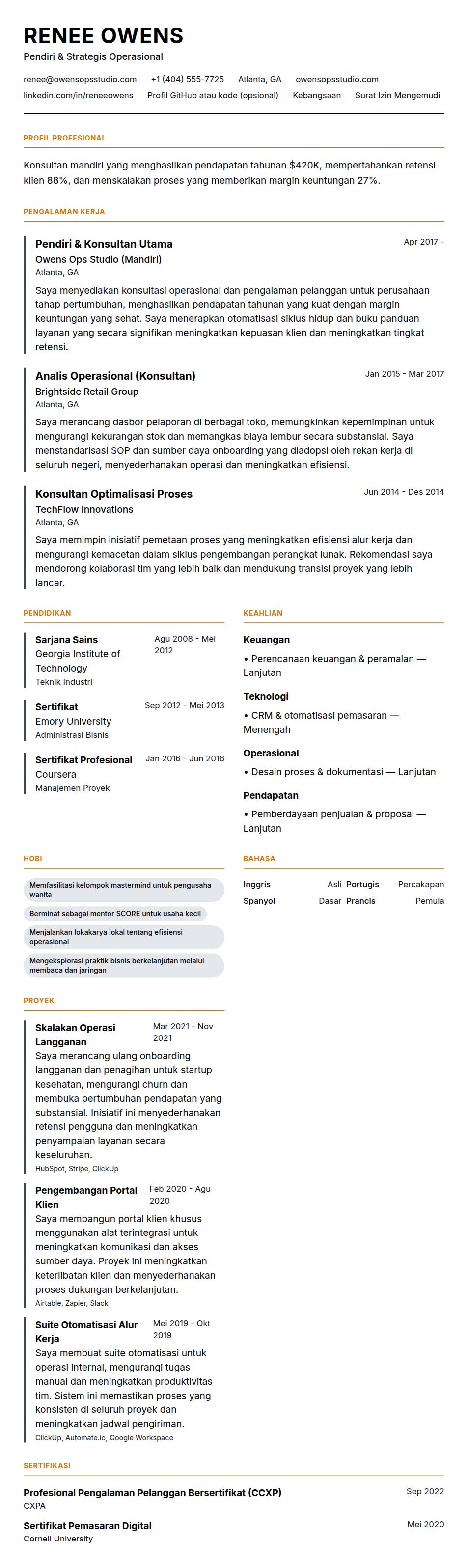 Pratinjau resume Contoh Resume Profesional Mandiri