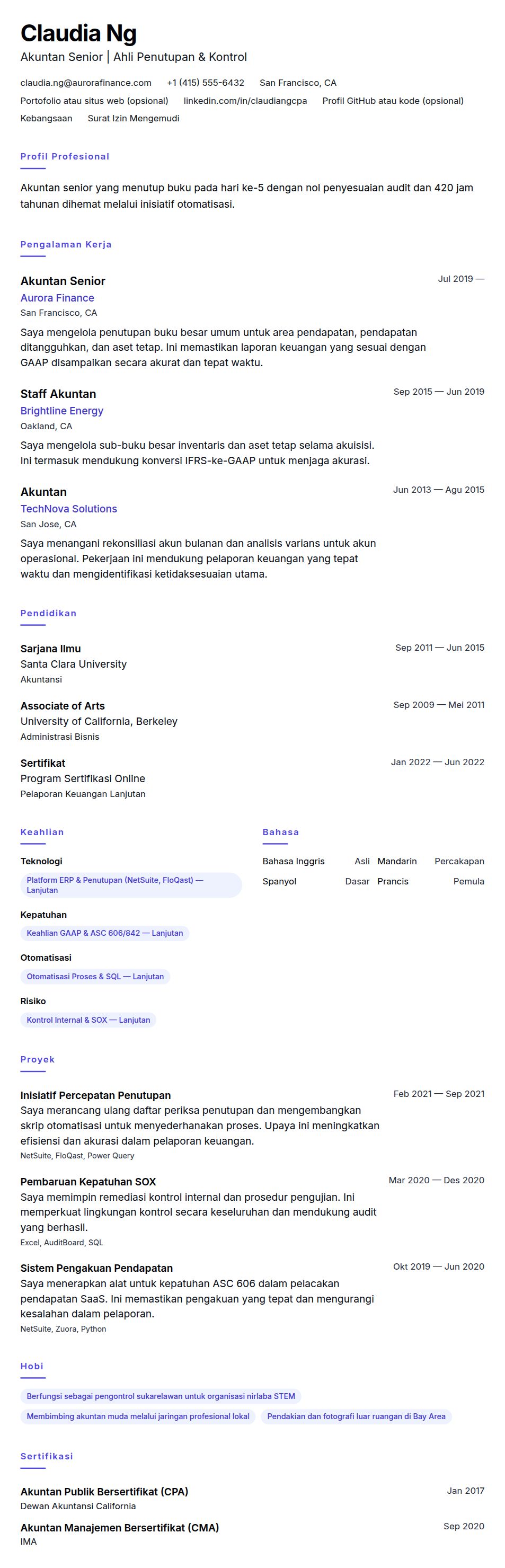 Contoh Resume Akuntan Senior