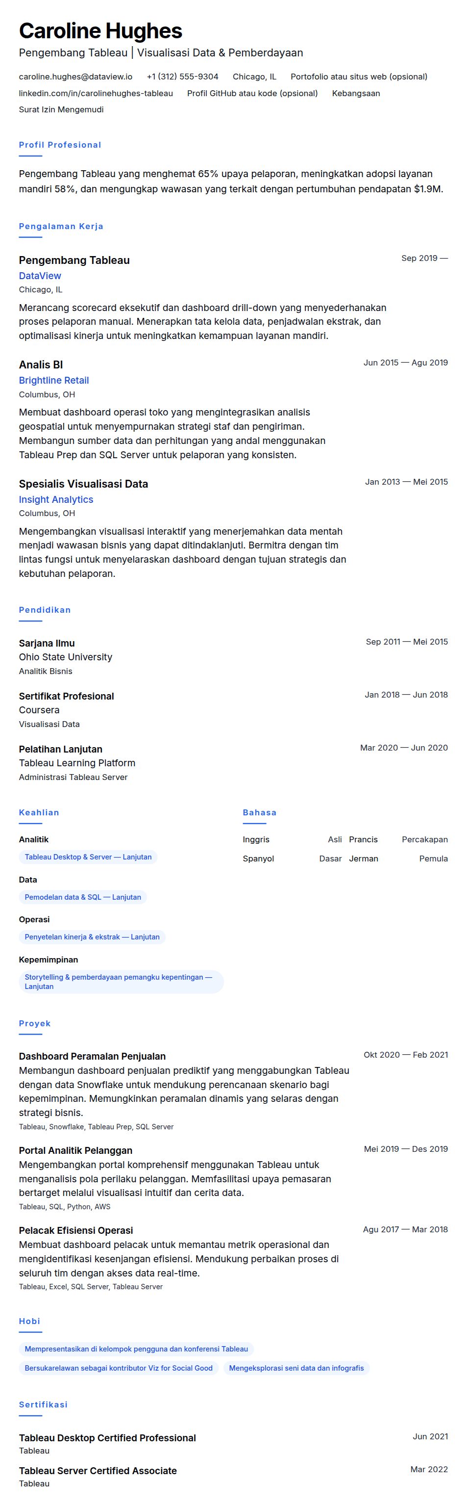 Pratinjau resume Contoh Resume Pengembang Tableau