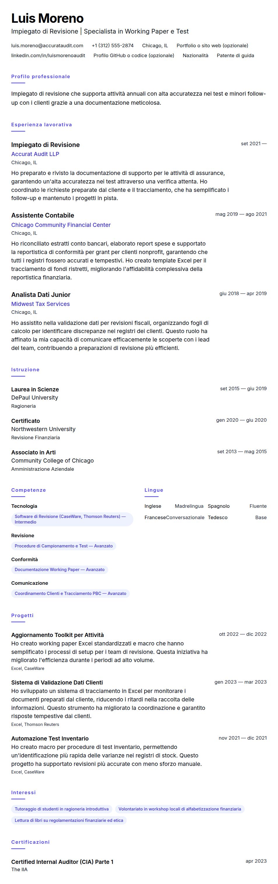 Anteprima del curriculum Esempio di Curriculum per Impiegato di Revisione