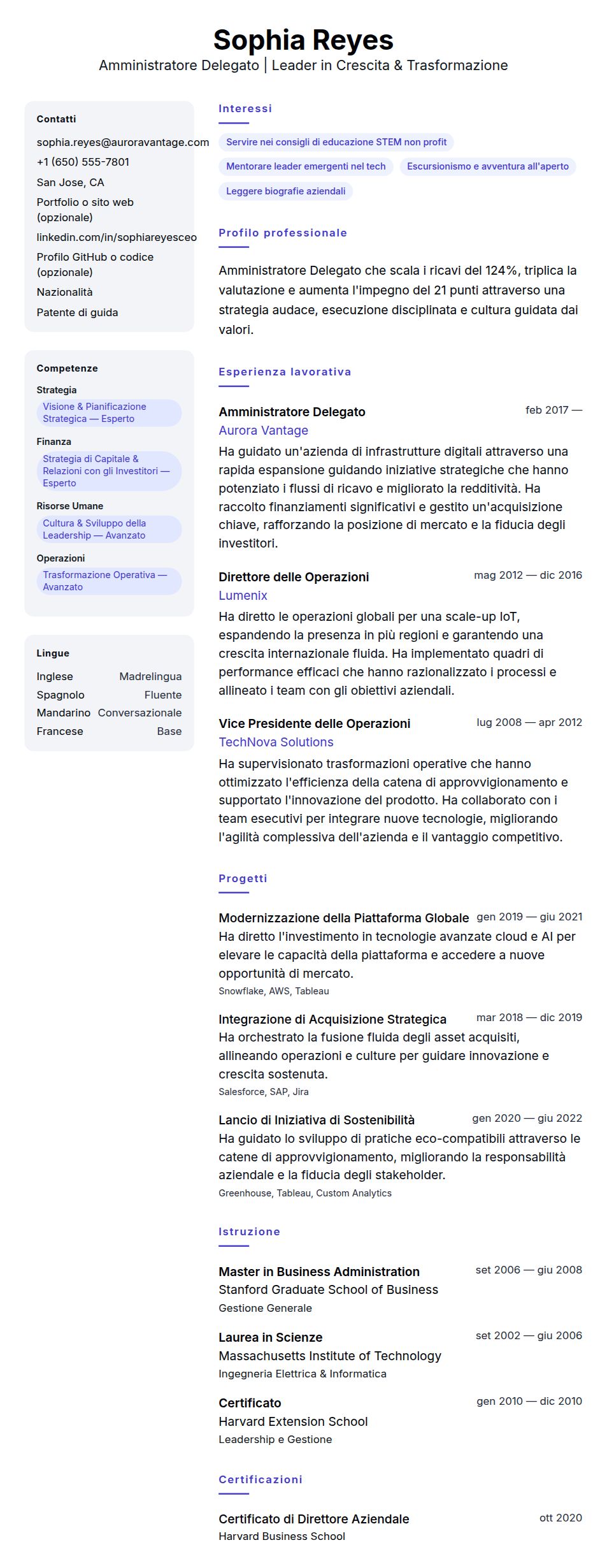 Anteprima del curriculum Esempio di Curriculum per Amministratore Delegato