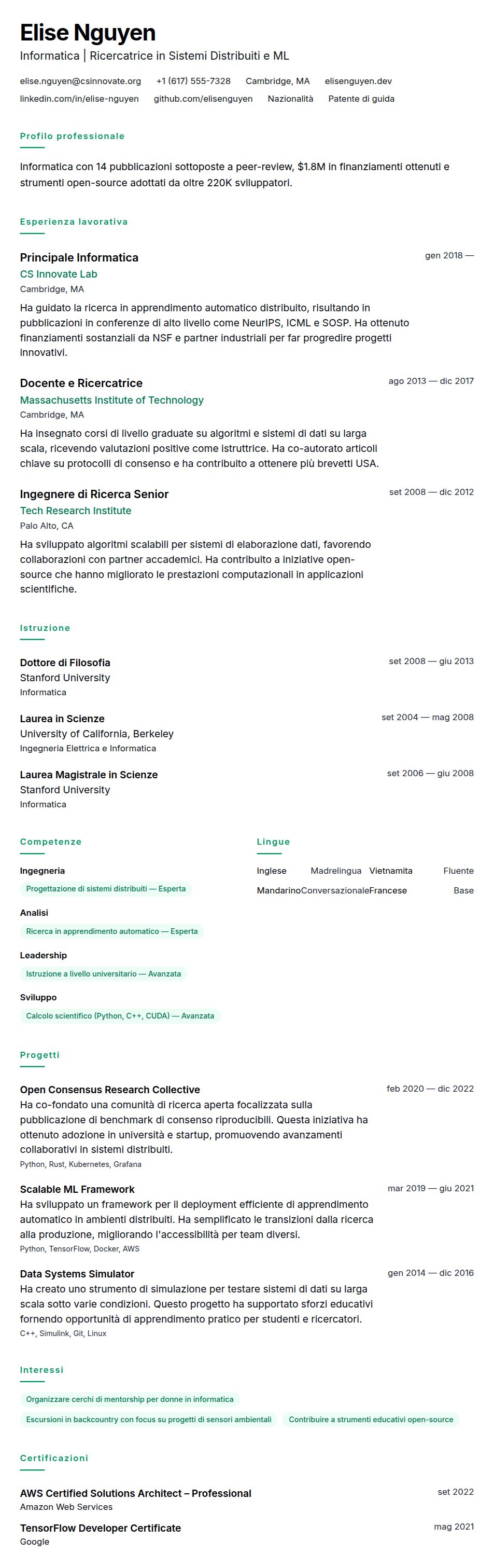Anteprima del curriculum Esempio di Curriculum Vitae per Professionista in Informatica