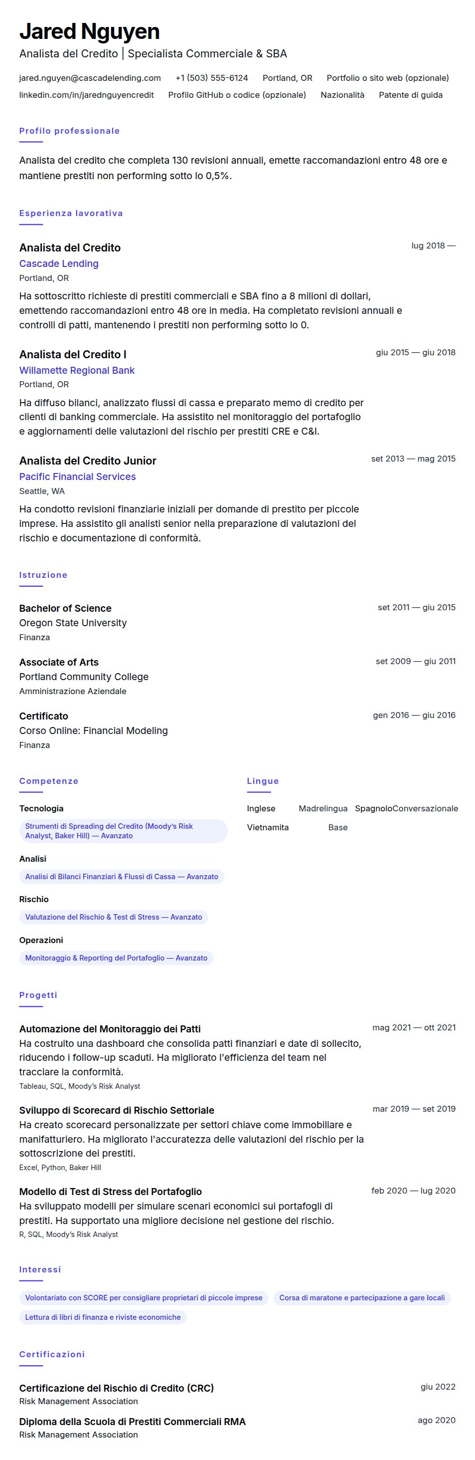 Anteprima del curriculum Esempio di Curriculum Analista del Credito