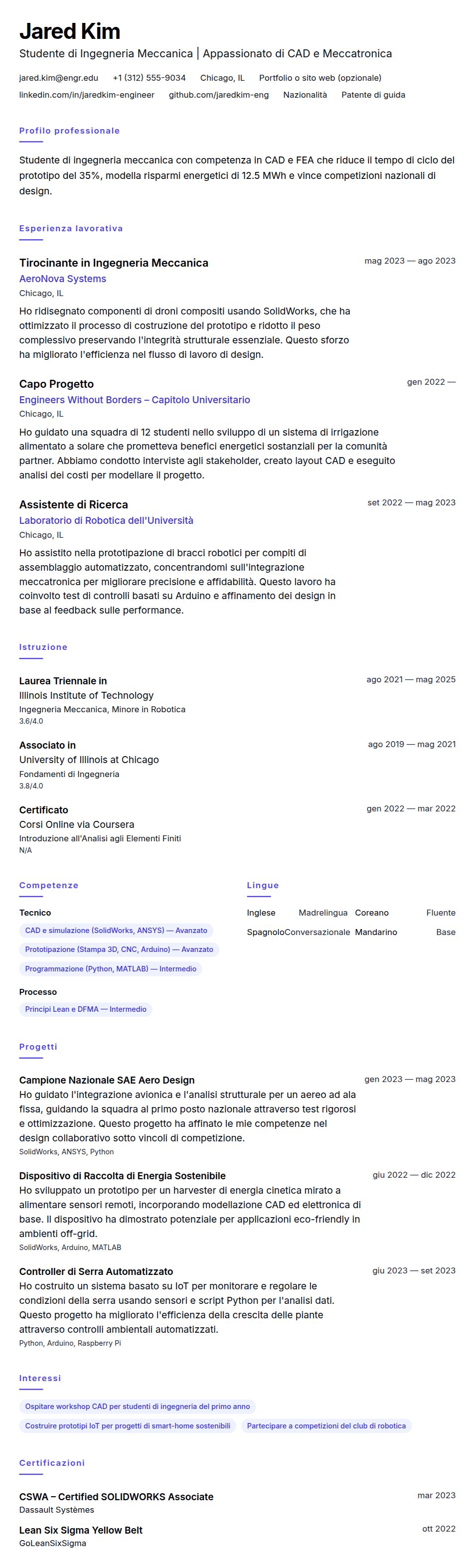 Esempio di Curriculum Studente di Ingegneria