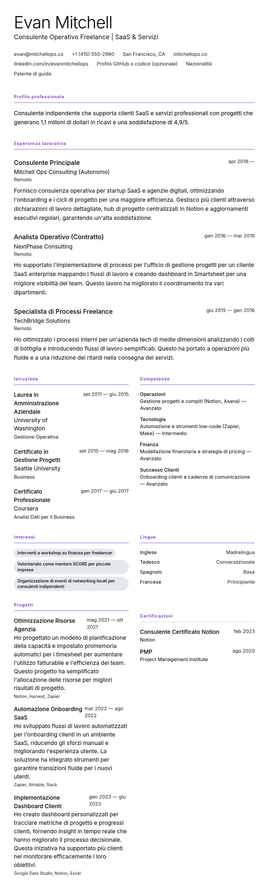 Anteprima del curriculum Esempio di Curriculum Vitae per Freelancer