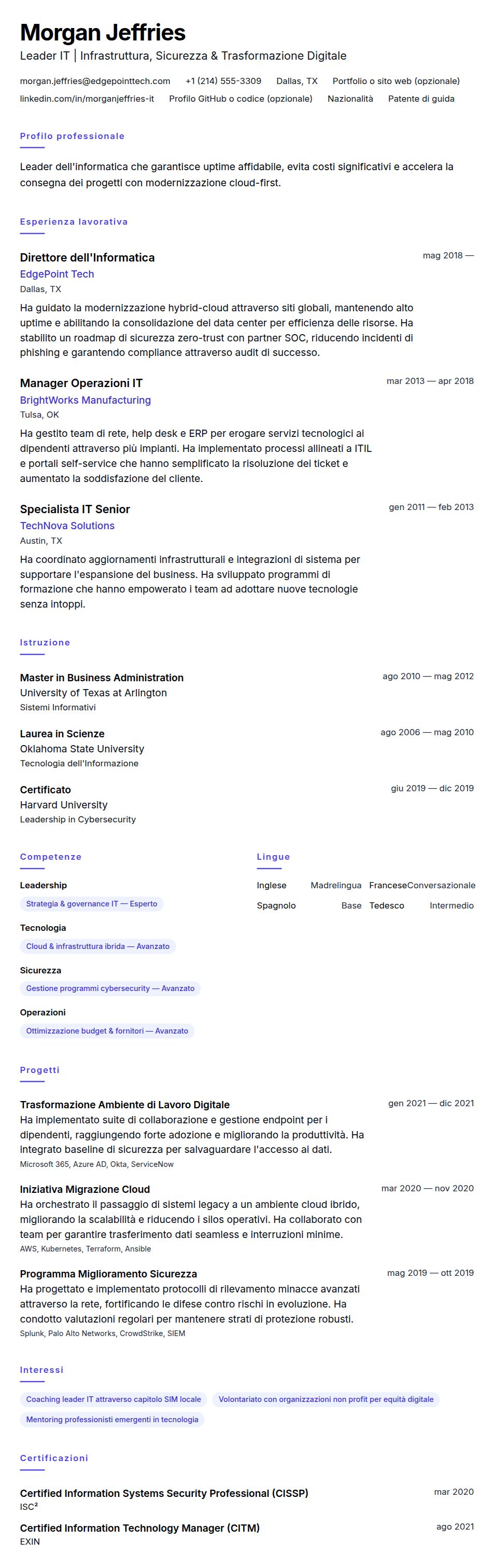 Anteprima del curriculum Esempio di Curriculum Vitae per Professionista dell'Informatica