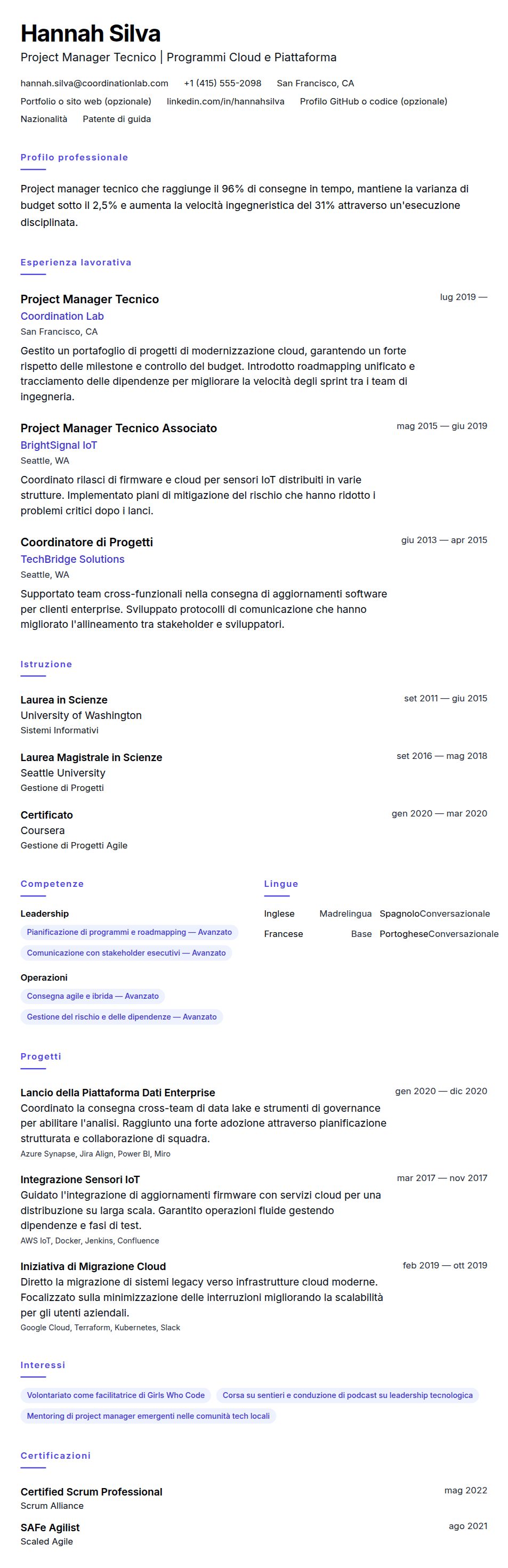 Anteprima del curriculum Esempio di Curriculum Project Manager Tecnico