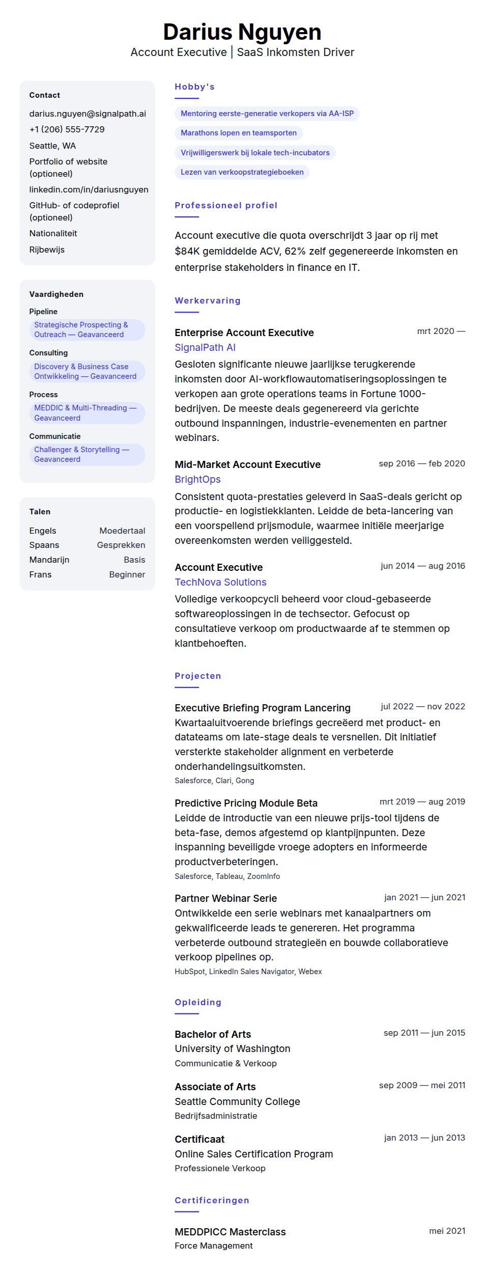 Account Executive Voorbeeld CV