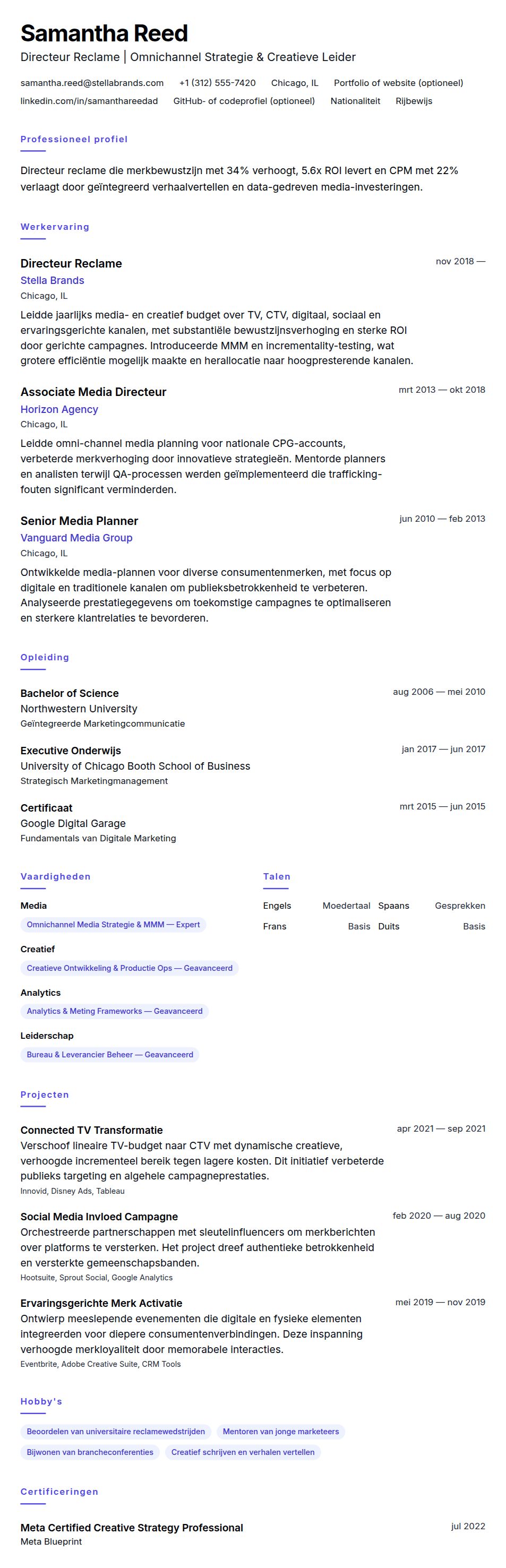 Cv-voorvertoning voor Directeur Reclame CV Voorbeeld