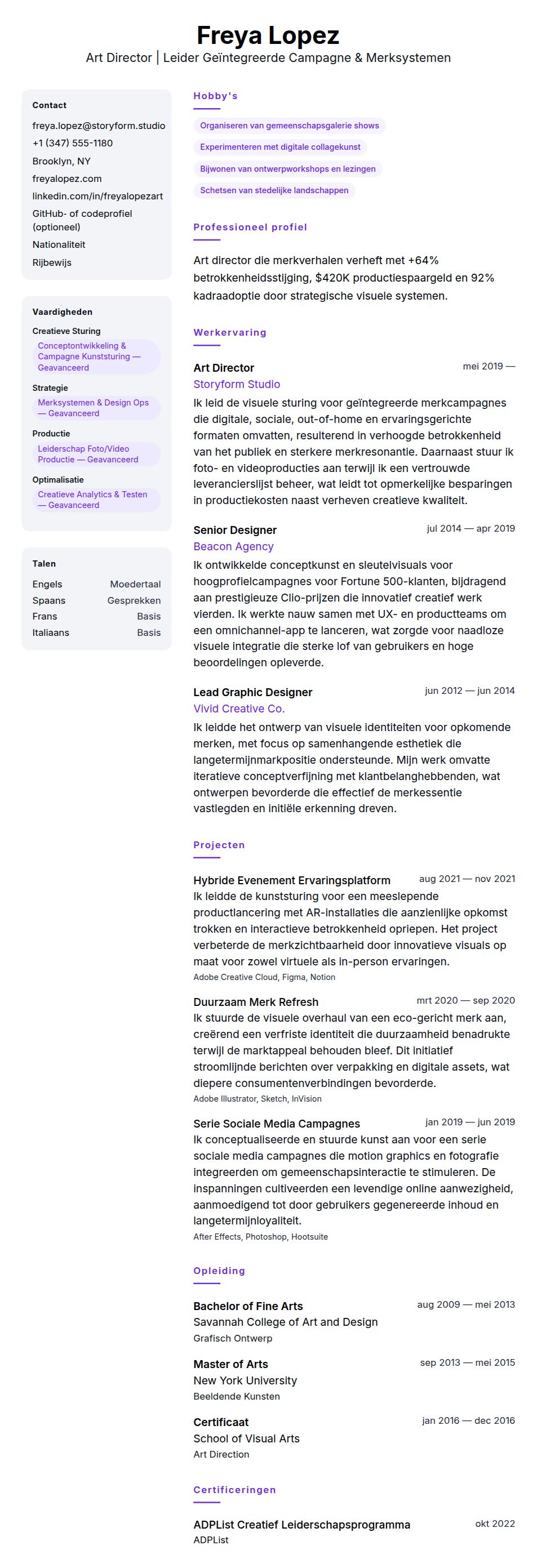 Cv-voorvertoning voor Voorbeeld CV Art Director