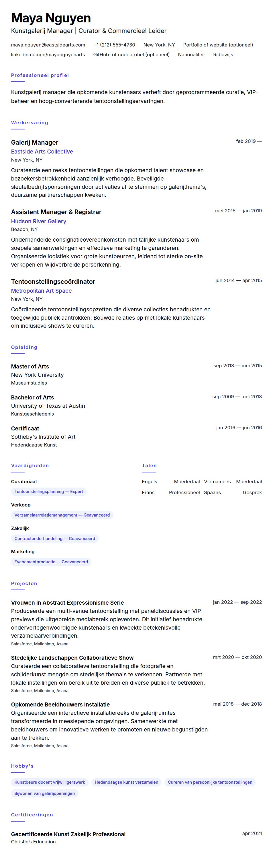 Cv-voorvertoning voor Kunstgalerij Manager CV Voorbeeld