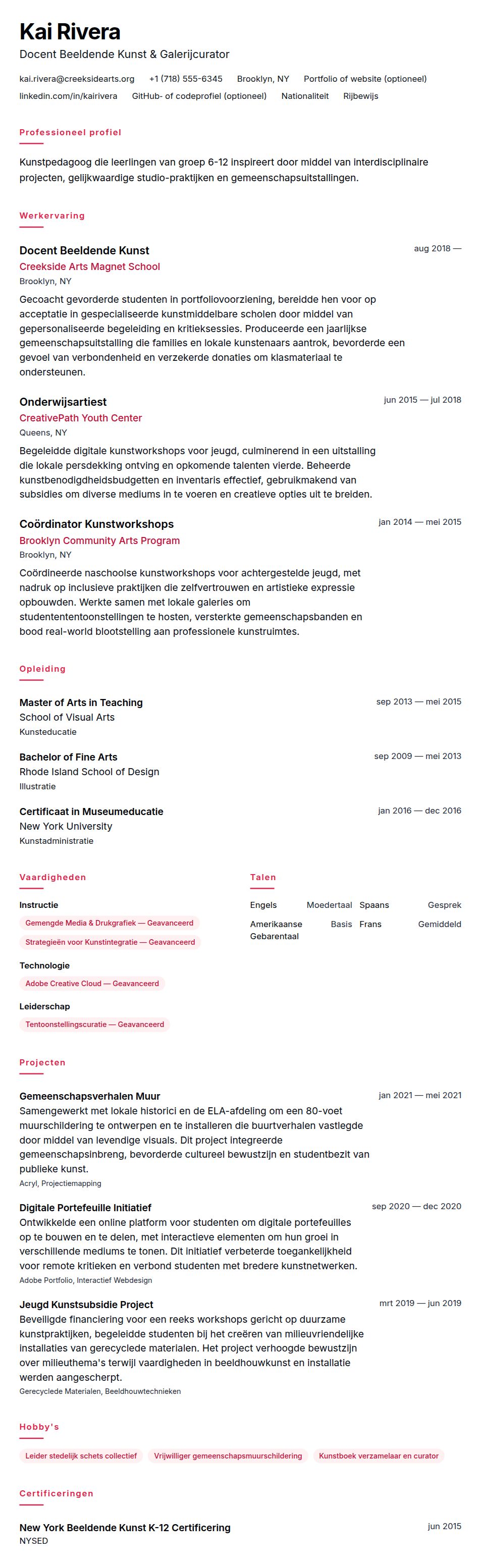 Cv-voorvertoning voor Voorbeeld CV Kunstleraar