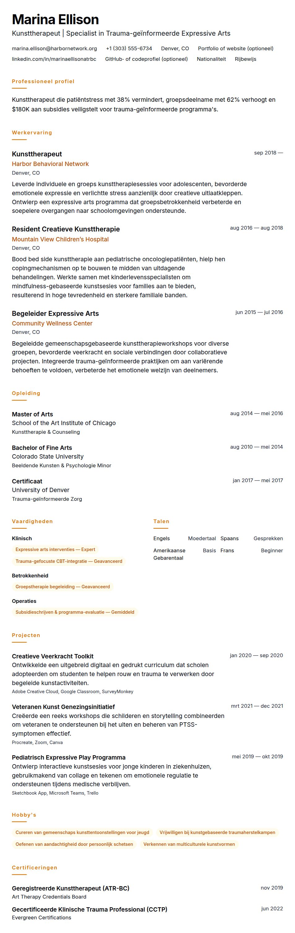 Cv-voorvertoning voor Voorbeeld CV Kunsttherapeut