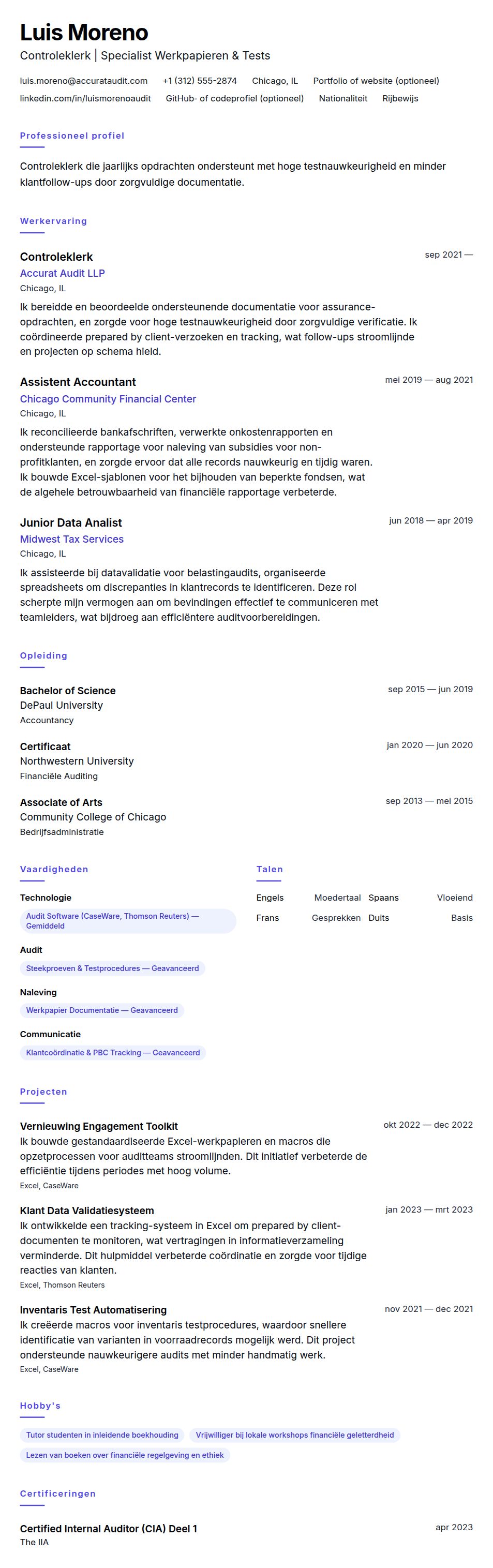 Cv-voorvertoning voor Voorbeeld cv controleklerk