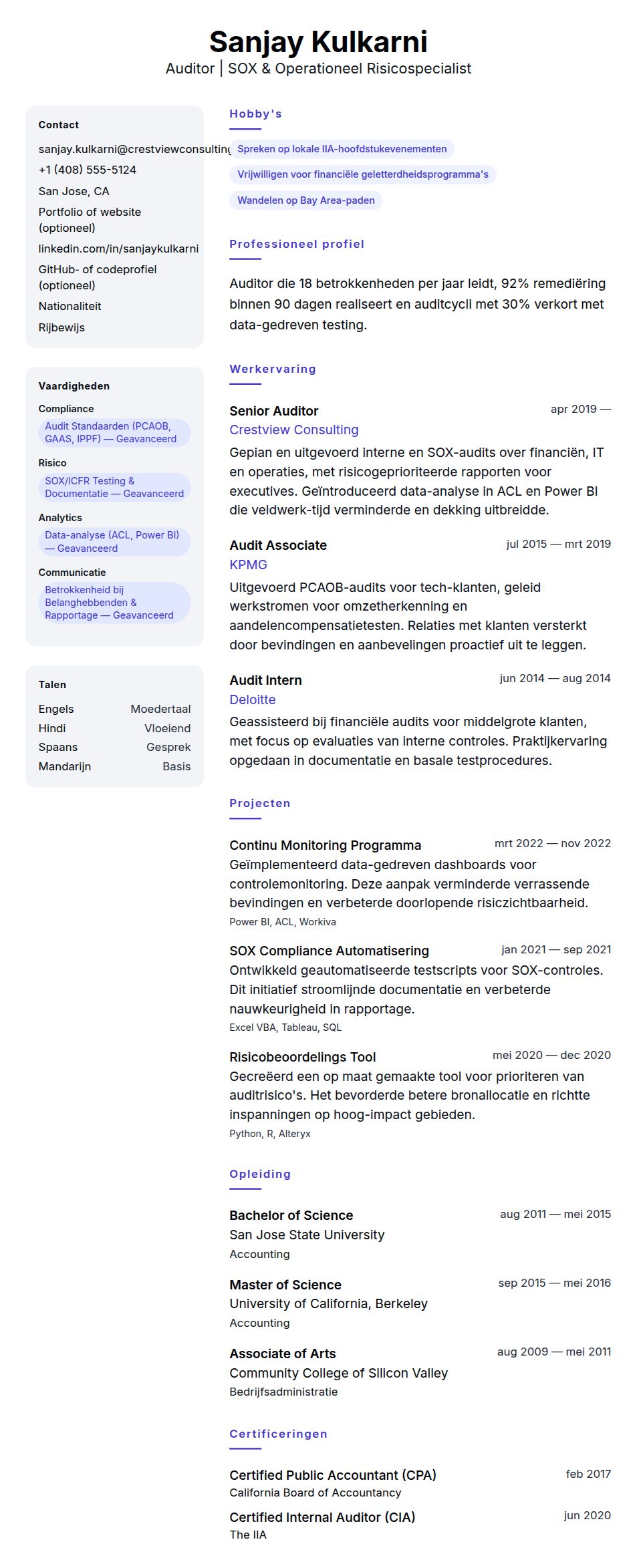 Voorbeeld van Auditor CV
