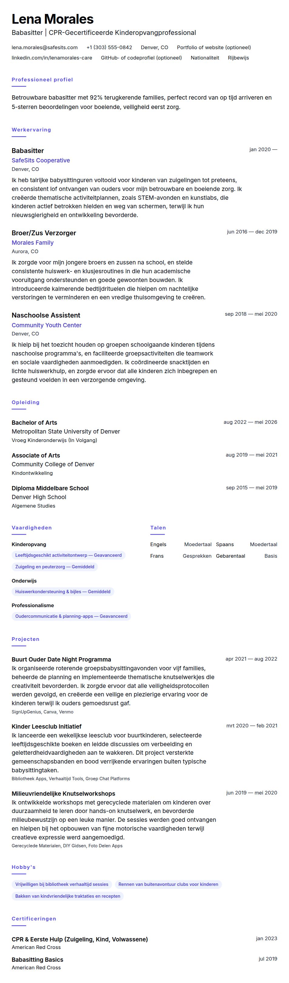 Cv-voorvertoning voor Babasitter CV-voorbeeld