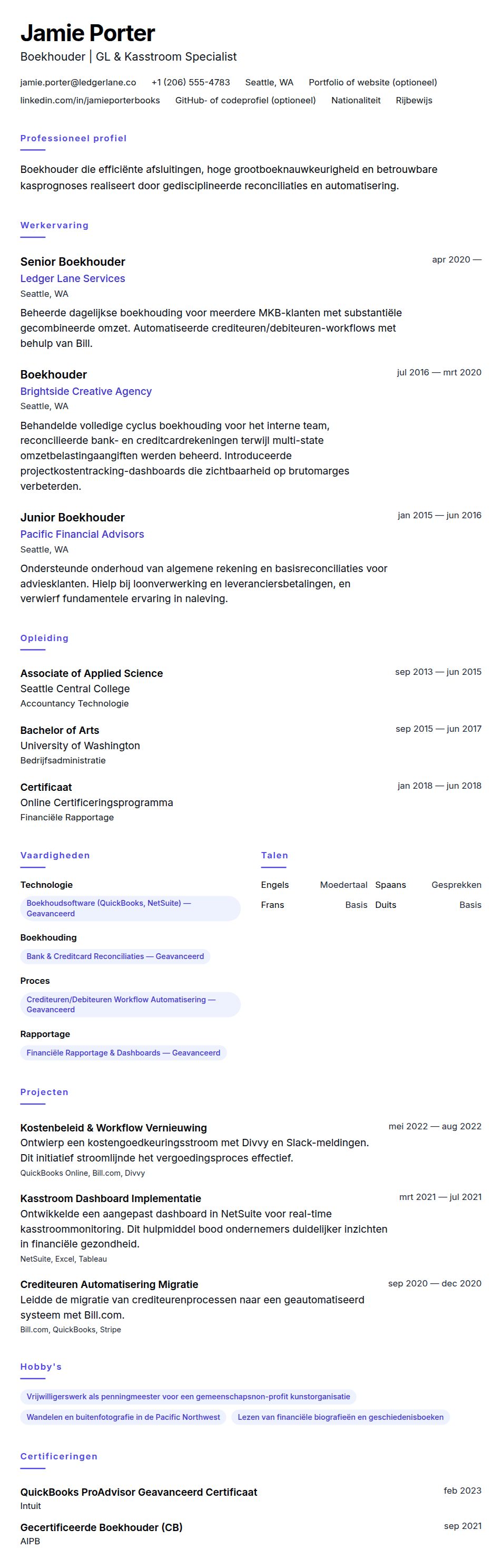 Cv-voorvertoning voor Boekhouder CV Voorbeeld