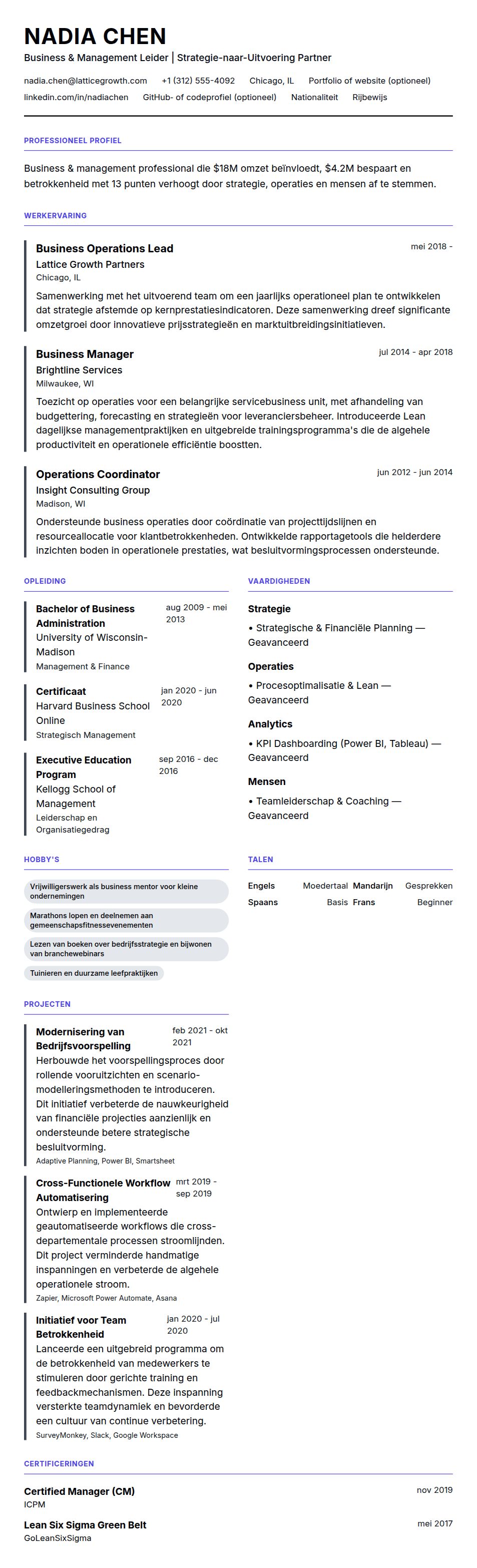 Voorbeeld cv Business & Management Professional