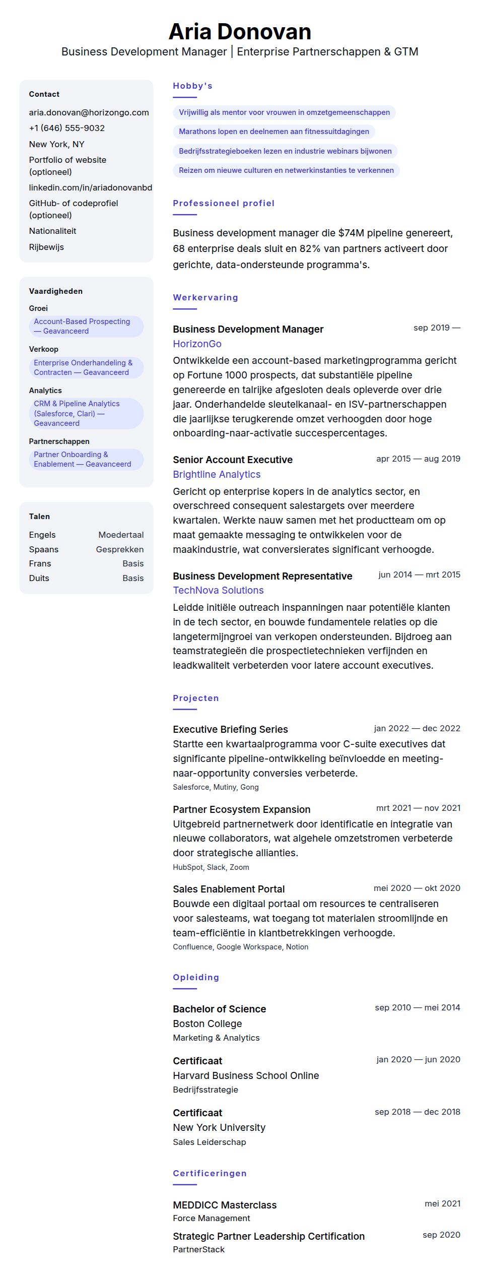 Cv-voorvertoning voor Voorbeeld cv Business Development Manager