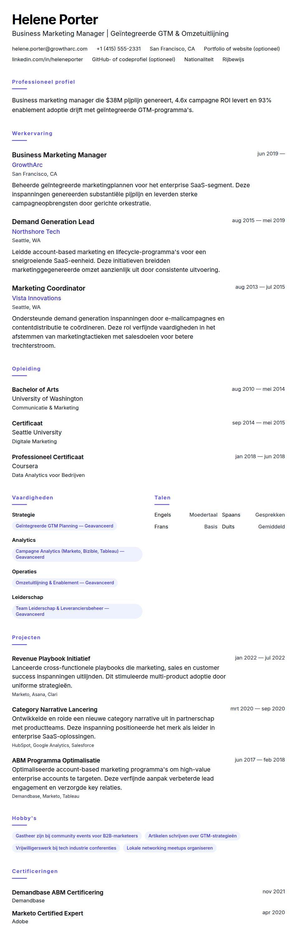 Cv-voorvertoning voor Voorbeeld cv Business Marketing Manager