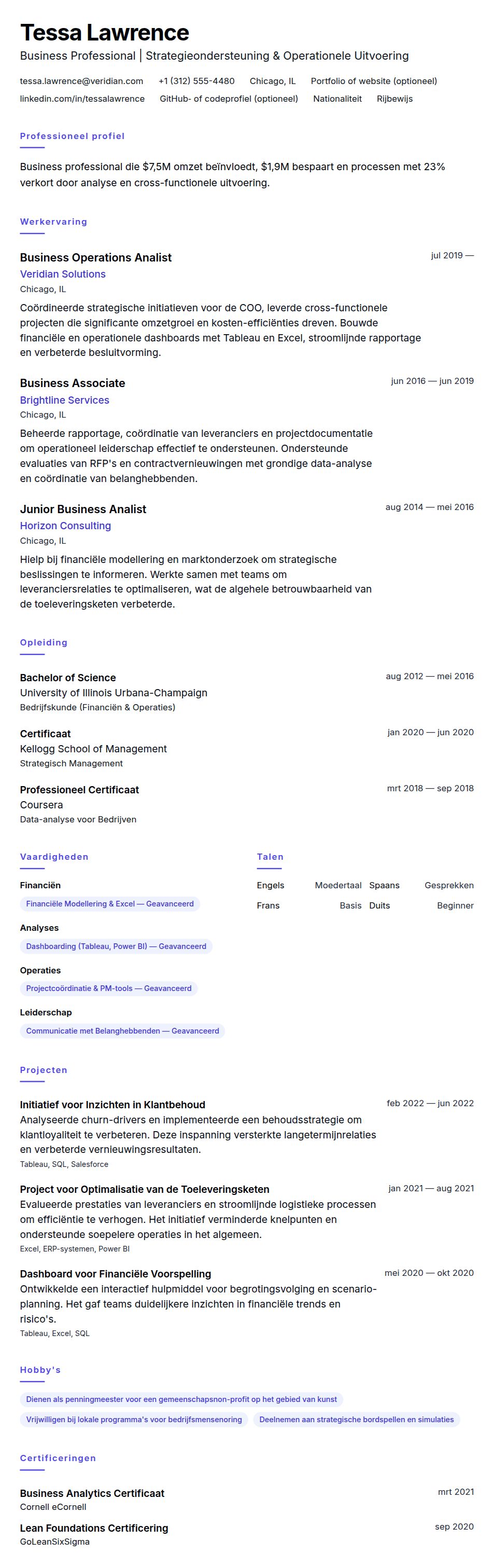 Cv-voorvertoning voor Voorbeeld van een cv voor een business professional