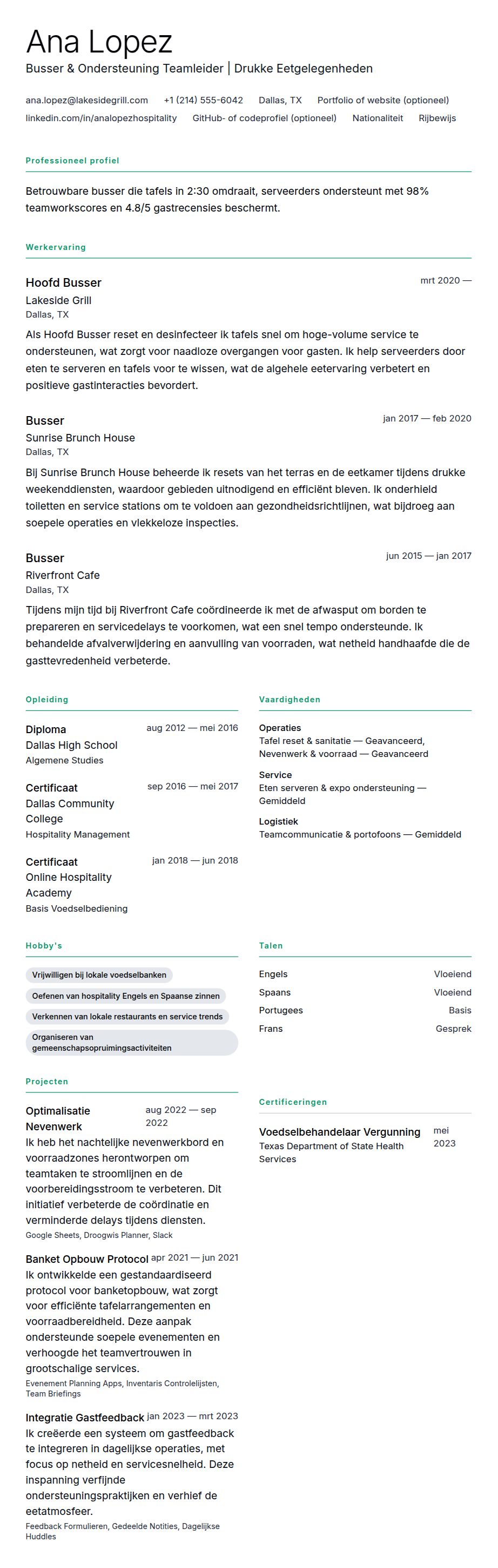 Cv-voorvertoning voor Voorbeeld cv busser
