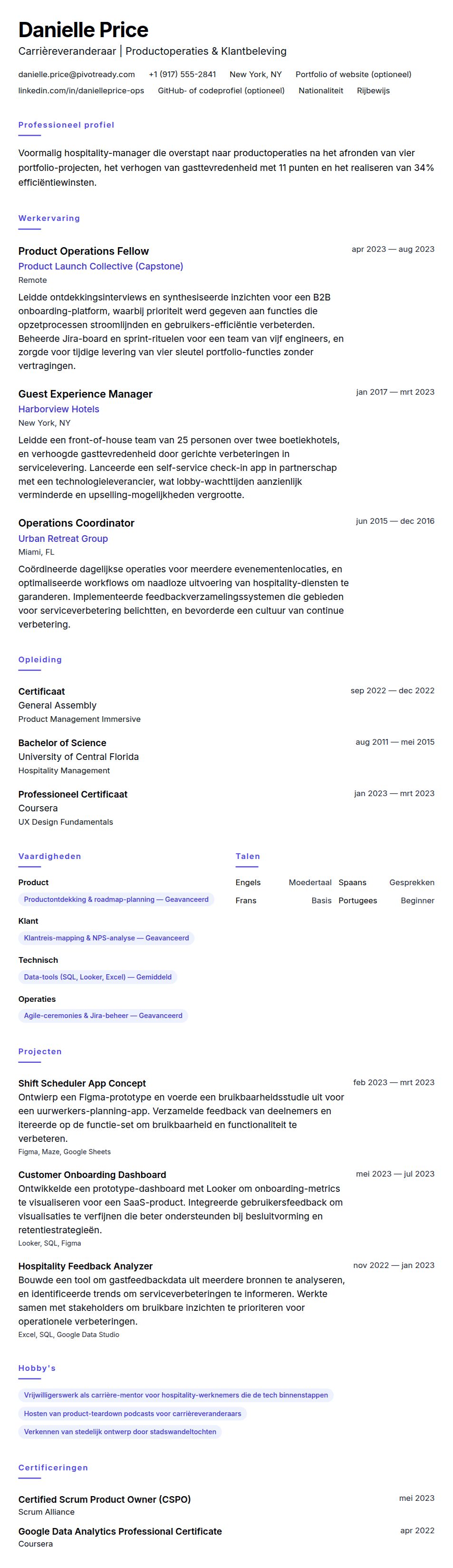 Cv-voorvertoning voor Carrièreverandering CV Voorbeeld