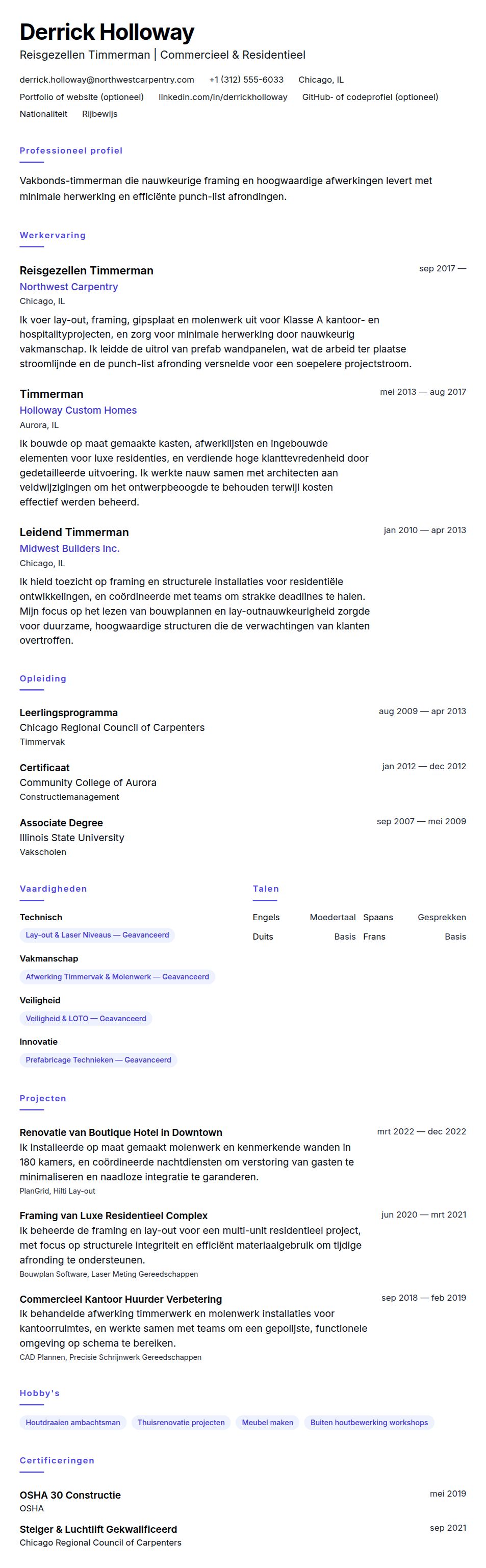 Timmerman CV Voorbeeld