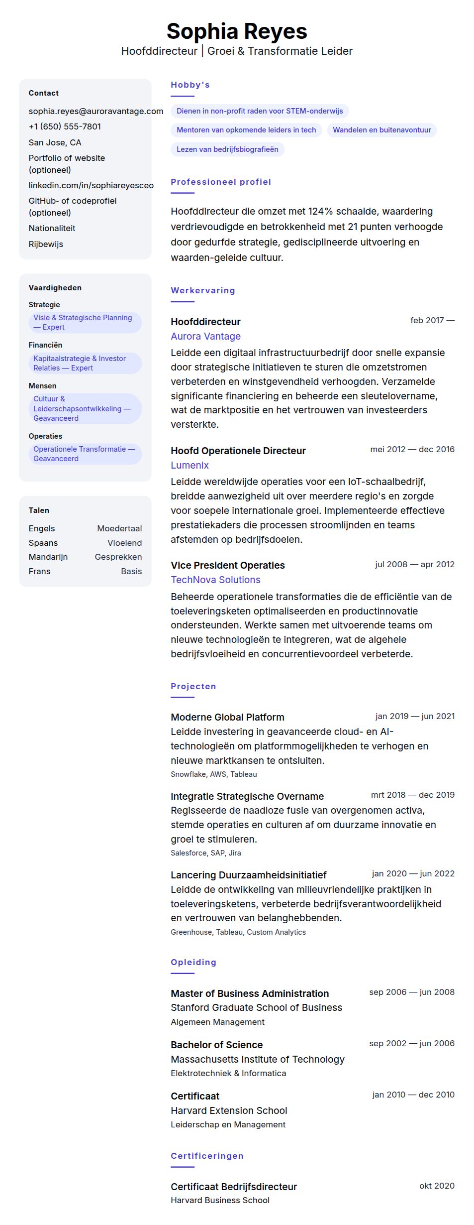 Cv-voorvertoning voor Hoofddirecteur CV Voorbeeld