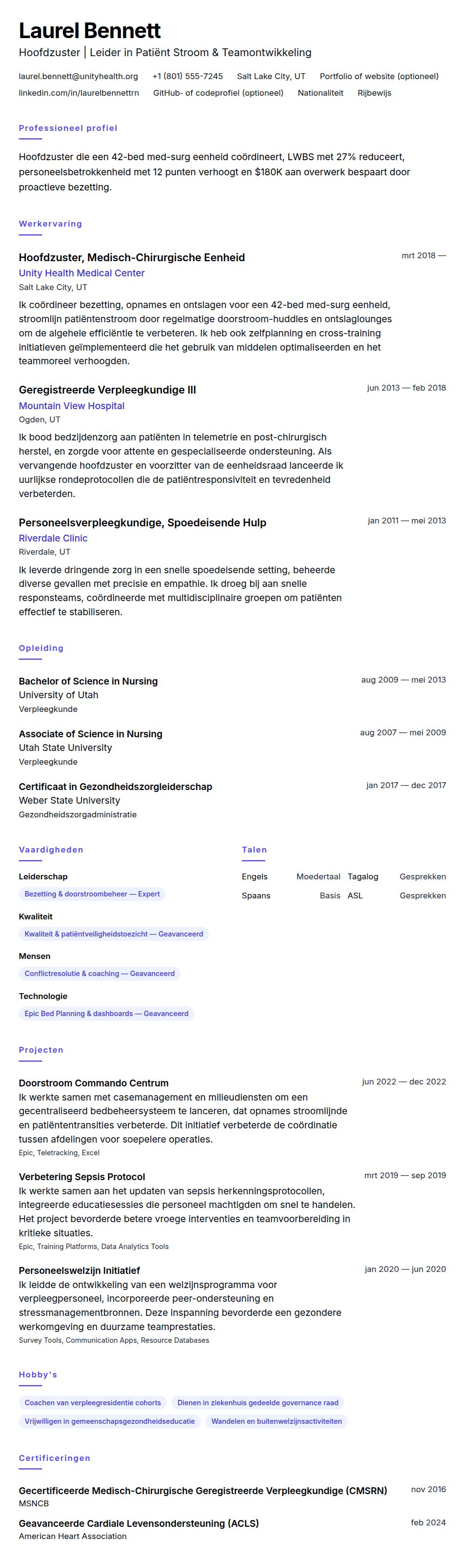 Cv-voorvertoning voor Hoofdzuster CV Voorbeeld