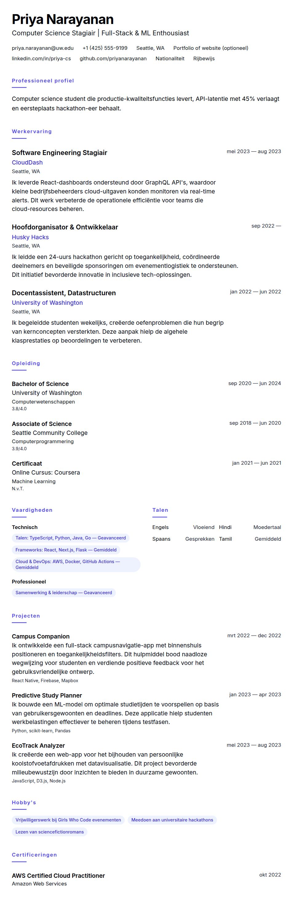 Cv-voorvertoning voor Voorbeeld CV voor Computer Science Stagiair