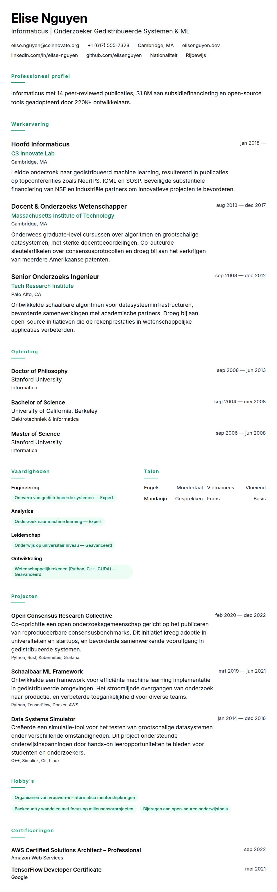 Cv-voorvertoning voor Voorbeeld CV voor Informatica Professional