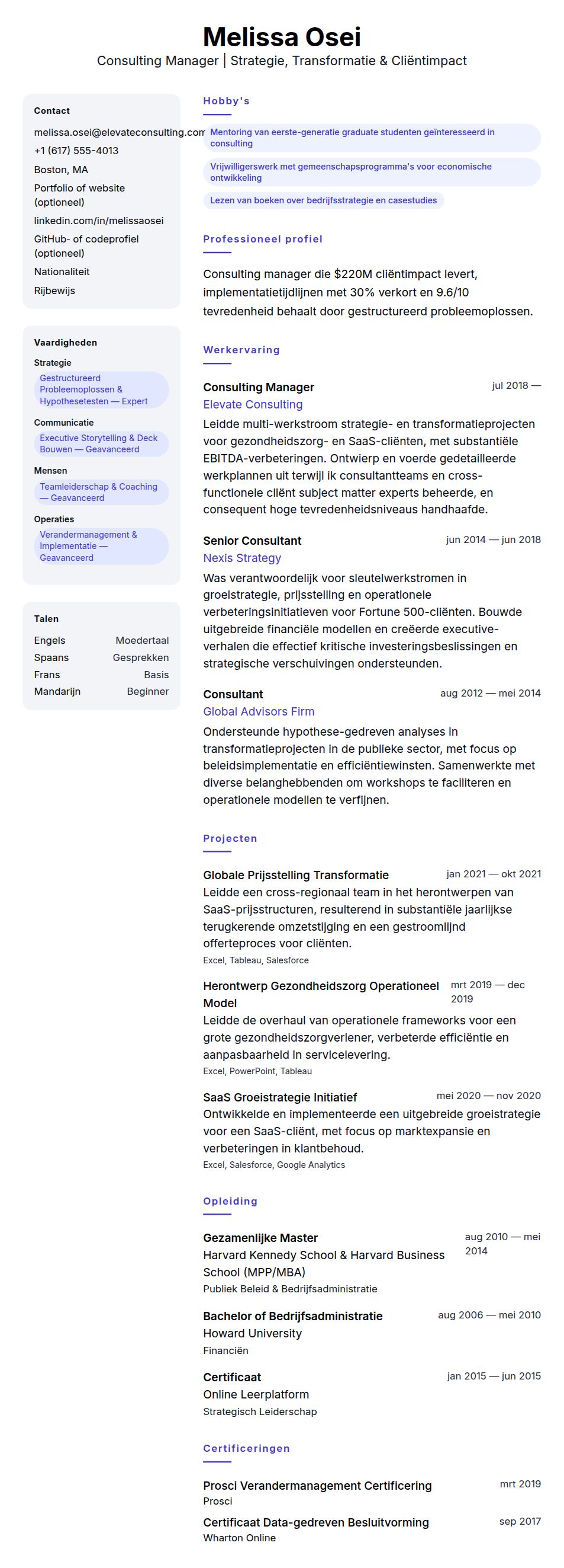 Cv-voorvertoning voor Voorbeeld cv Consulting Manager