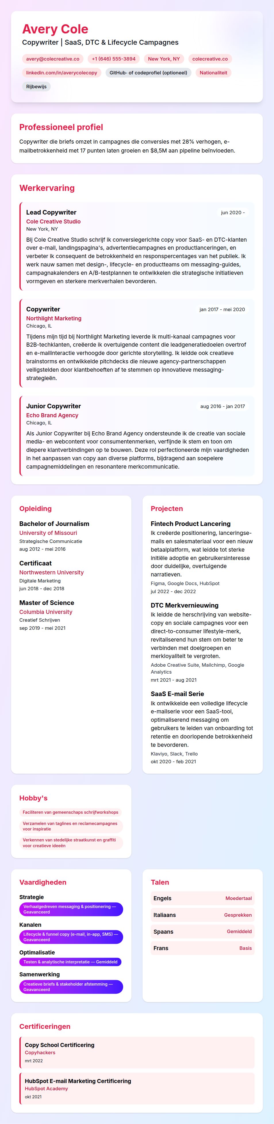 Cv-voorvertoning voor Copywriter CV Voorbeeld